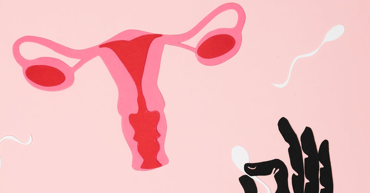 İnfertiliteye Karşı Tasarım Çözümleri: Neler Sunuyor?
