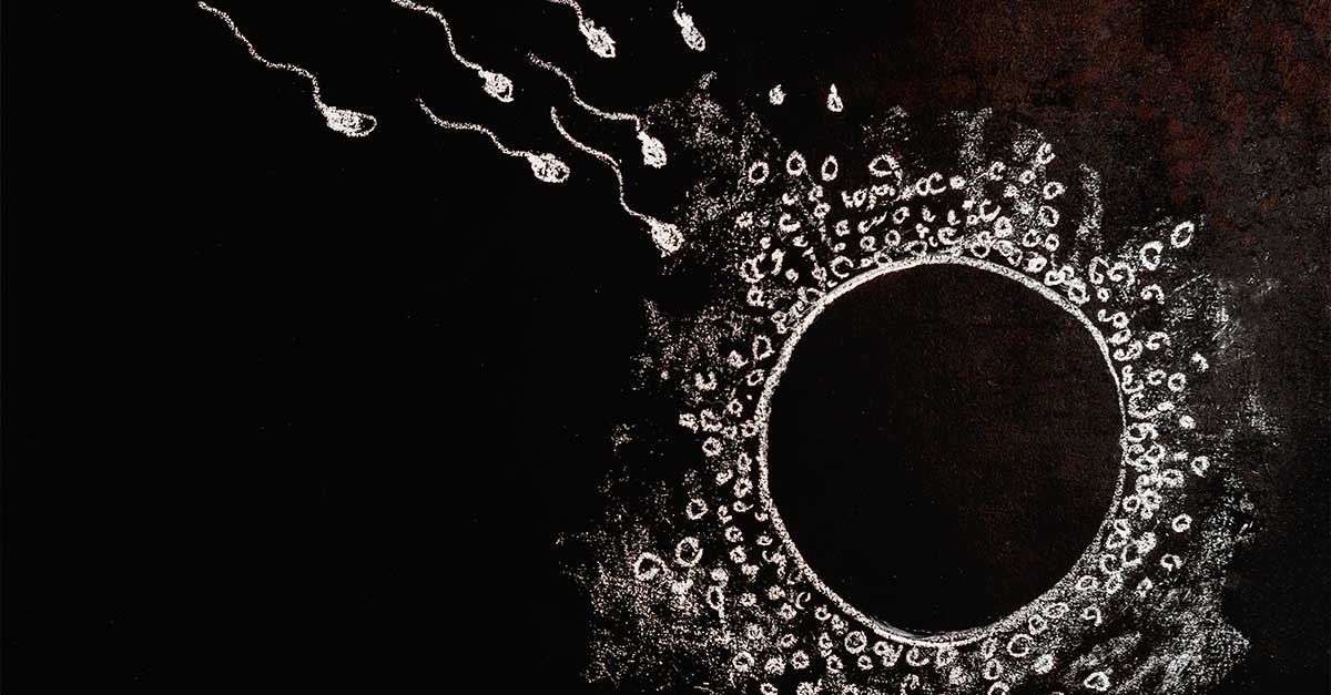 Endometriozis ve İnfertilite Arasındaki Bağlantı: Ne Kadar Güçlü?