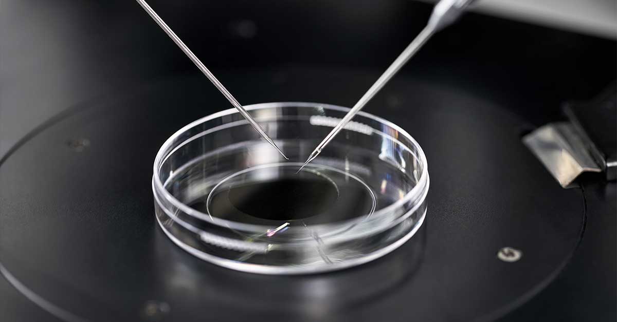 Embriyo Genetiği Testleri: PGT-A ve PGT-M