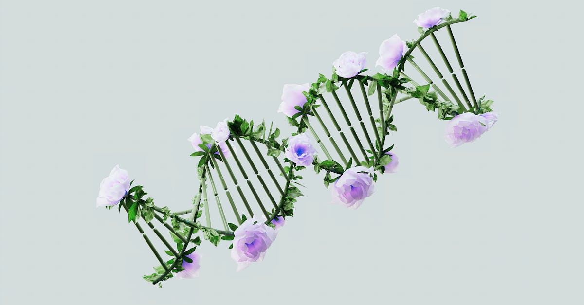 Sperm DNA Hasarı Nedir ve Neler Sebep Olur?