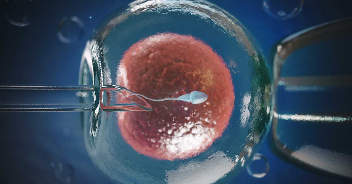 Sperm Kalitesini Etkileyen Faktörler: Genetikten Yaşam Tarzına Uzanan Geniş Bir Yelpaze