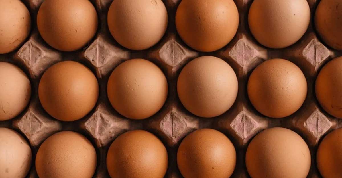 Yumurta Bankasının Altın Kuralları: Kimler İçin Uygun?
